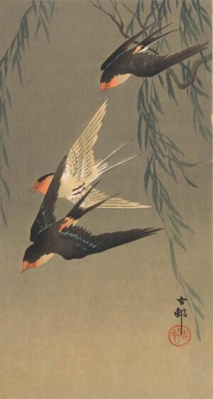 Ohara Koson "Trys raudonuodegės kregždės"