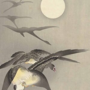 Ohara Koson "Žąsys per pilnatį"