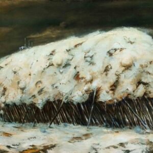 Modestas Malinauskas "Per pusnis"