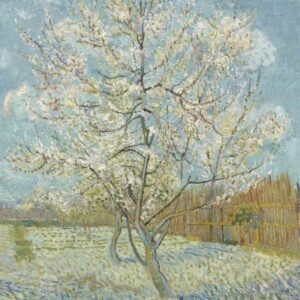 Vincent Van Gogh "Rožinis persikų medis"