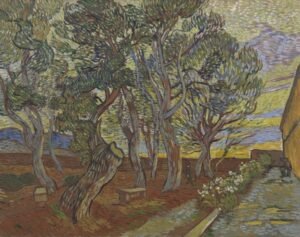 Vincent Van Gogh "Asyliumo sodas"