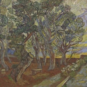 Vincent Van Gogh "Asyliumo sodas"