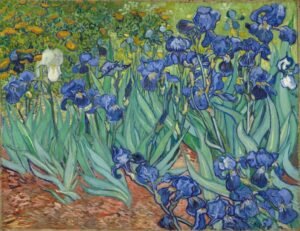 Vincent Van Gogh "Irisai"