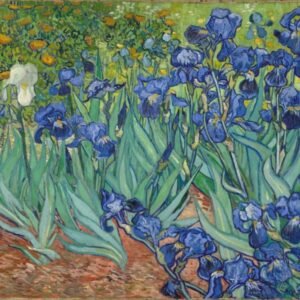 Vincent Van Gogh "Irisai"