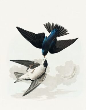 John James Audubon "Amerikos paukščiai"
